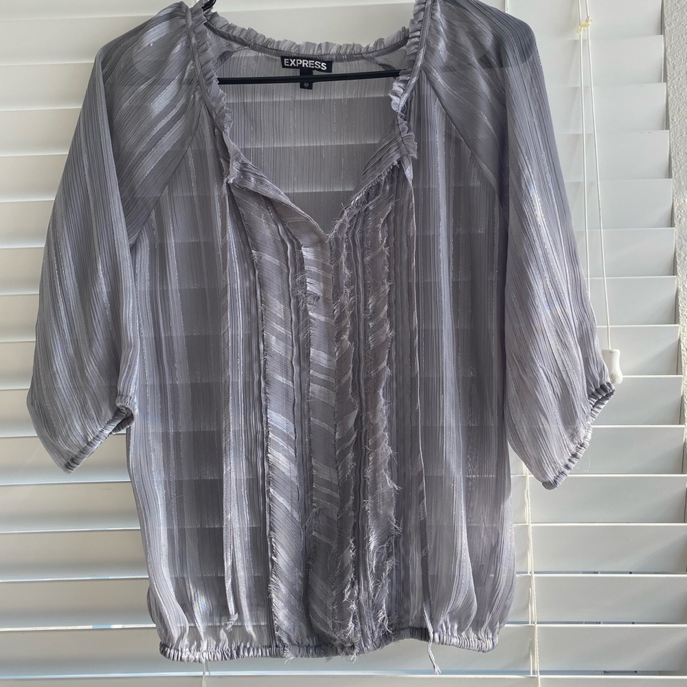 Women’s Express Sheer Silver Blouse